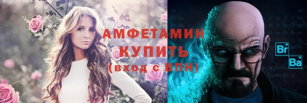 СК Алексин