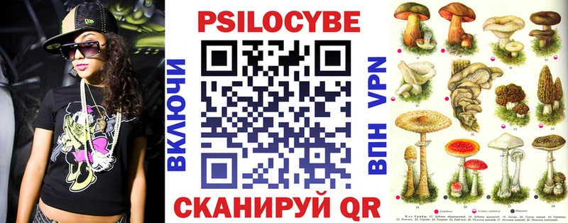 Псилоцибиновые грибы Psilocybine cubensis Лесной